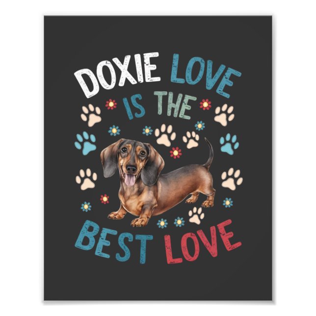 Foto El Amor Doxie Es El Mejor Amor (Frente)