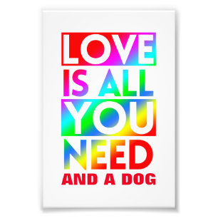 FOTO EL AMOR ES TODO LO QUE NECESITAS Y UN PERRO