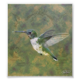 Foto El ángel se va volando serie