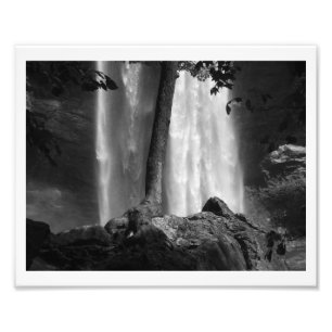 Foto El árbol cae B&W