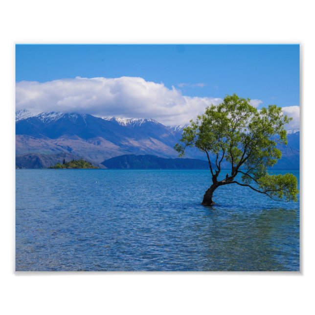 Foto El árbol Wanaka, el lago Wanaka, Nueva Zelanda - F (Frente)