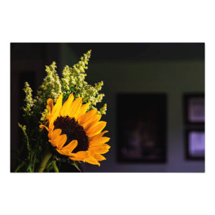 Foto El arte de la naturaleza