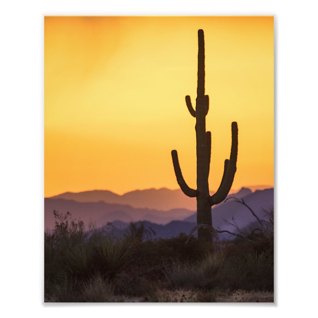 Foto El atardecer de Scottdale antes de la tormenta (Frente)