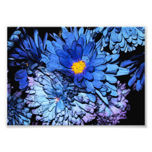 Foto El azul florece 7x5