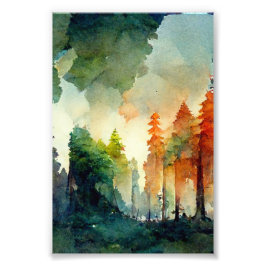 Foto El bosque (naturaleza)