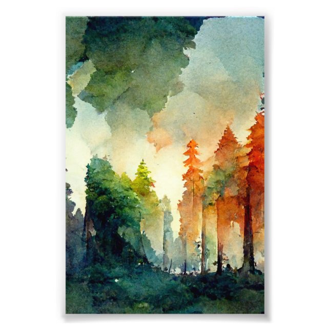 Foto El bosque (naturaleza) (Frente)