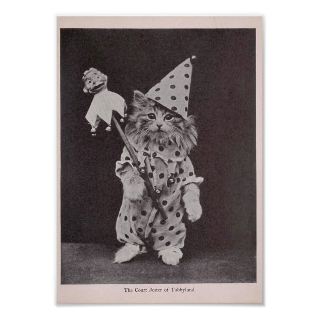 Foto El bufón de la corte de Tabbyland (Frente)