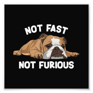 Foto El Bulldog inglés durmiendo no es rápido, no es cu
