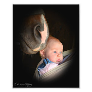 Foto El caballo ama a Baby