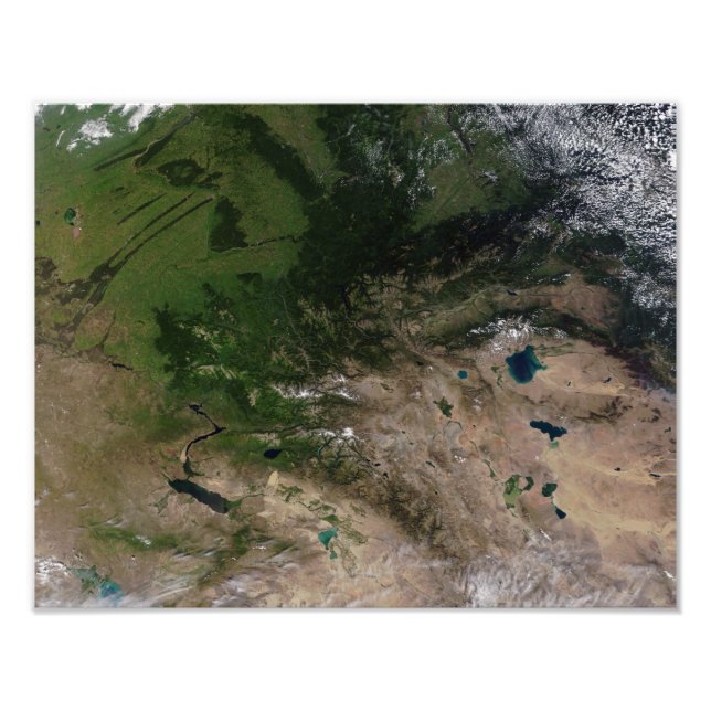 Foto El cambio de vegetación (Frente)