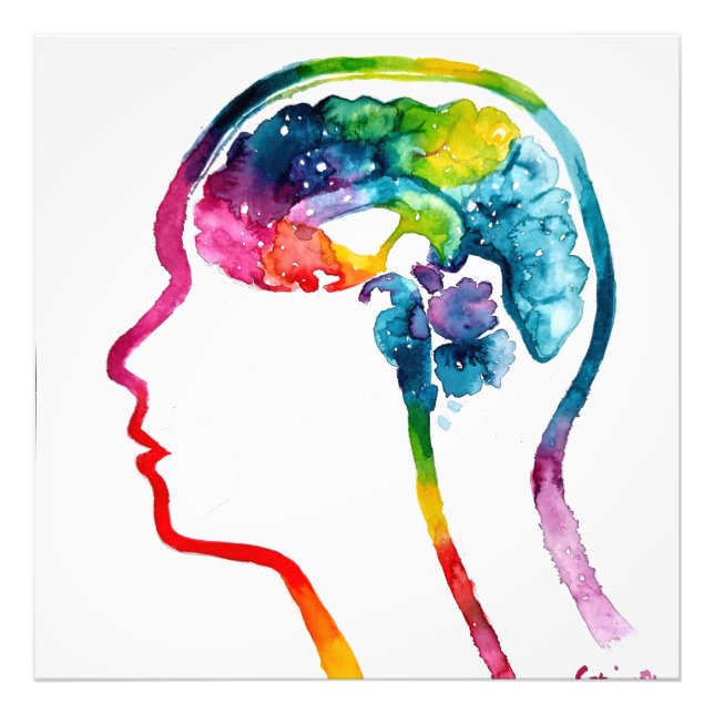 Foto El cerebro humano (Frente)