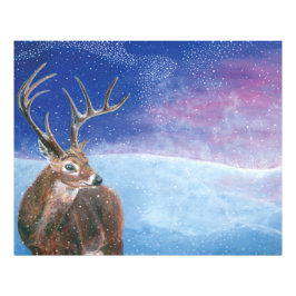 Foto El ciervo rojo (Cervus elaphus)