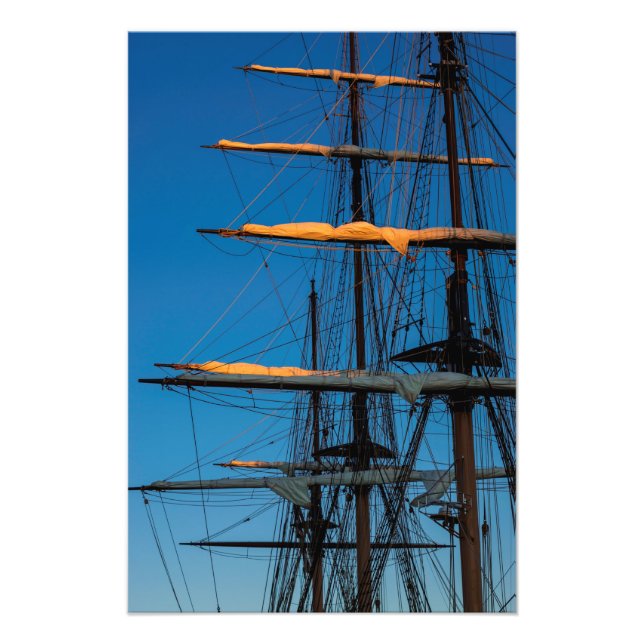 Foto El Desfile De Los Mastres (Frente)