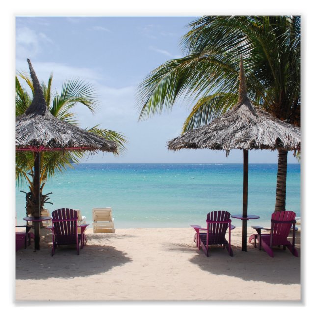 Foto El destino de las vacaciones de palma marina en la (Frente)