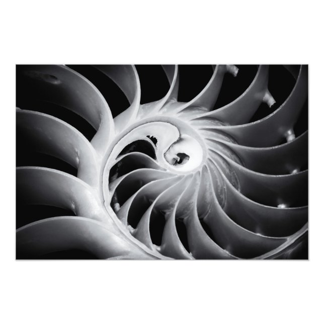 Foto El diseño de la naturaleza (Frente)