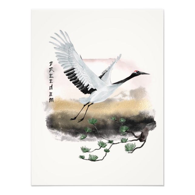 Foto El diseño de la serie Okinawa 12 (Frente)