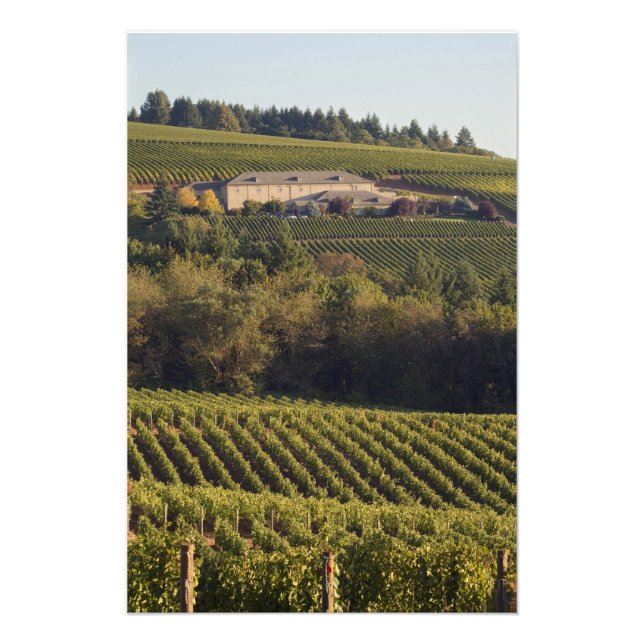 Foto El edificio de bronceado de Archery Summit se encu (Frente)