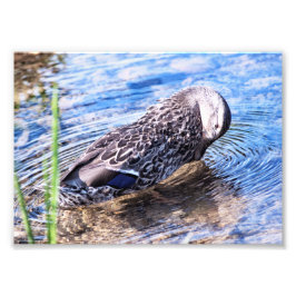 Foto El efecto creciente