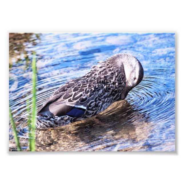 Foto El efecto creciente (Frente)