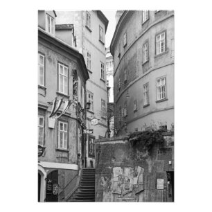 Foto El encanto de los carriles de Viena