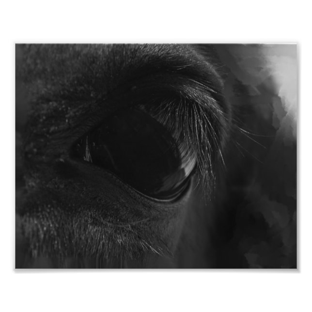 Foto El espíritu yace dentro (Frente)