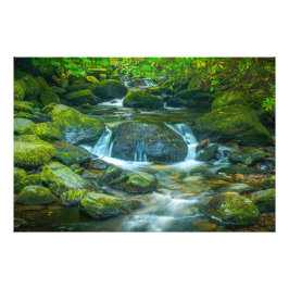 Foto El flujo esmeralda del arroyo irlandés
