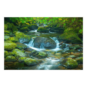 Foto El flujo esmeralda del arroyo irlandés