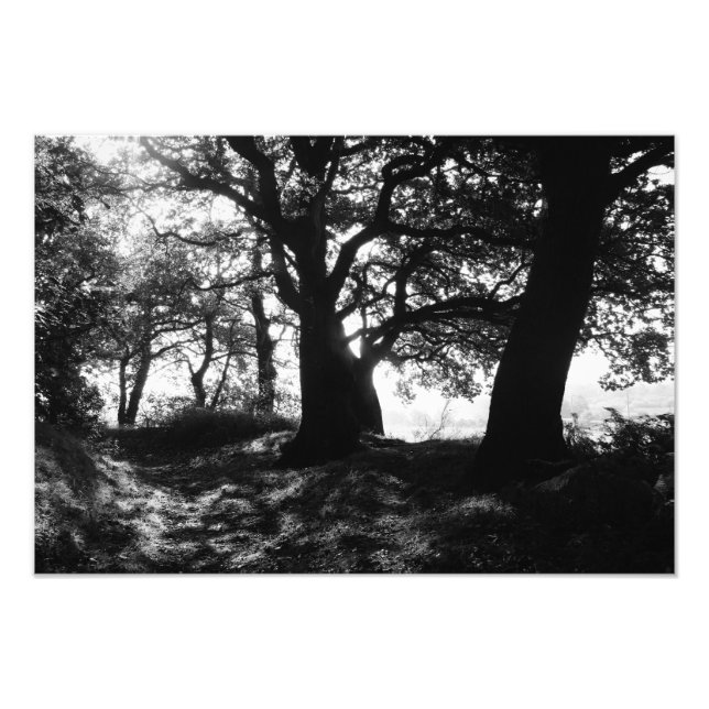 Foto EL FRINGE (fotográfico) (Frente)