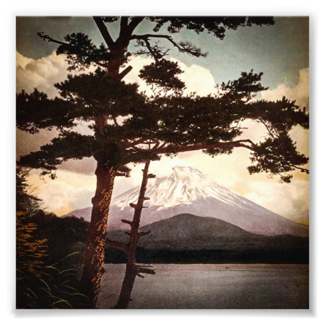 Foto El Fuji a través del viejo Japón de los Pines (Frente)