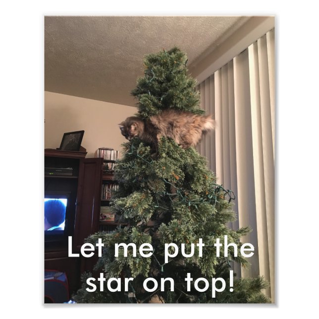 Foto El gato ayuda a decorar el árbol (Frente)
