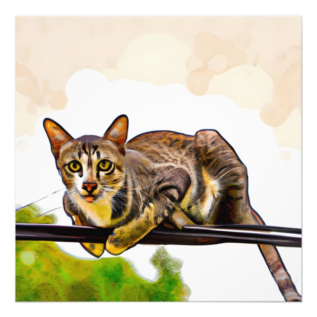 Foto El gato bengalí (Frente)