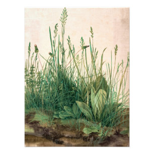 Foto El gran pedazo de turf de Albrecht Durer
