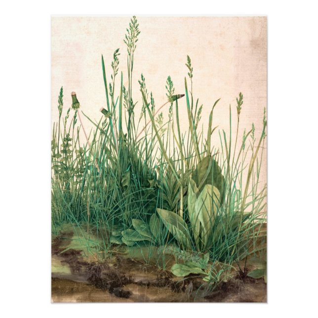 Foto El gran pedazo de turf de Albrecht Durer (Frente)