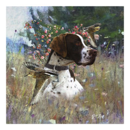 Foto El hermoso puntero en el campo