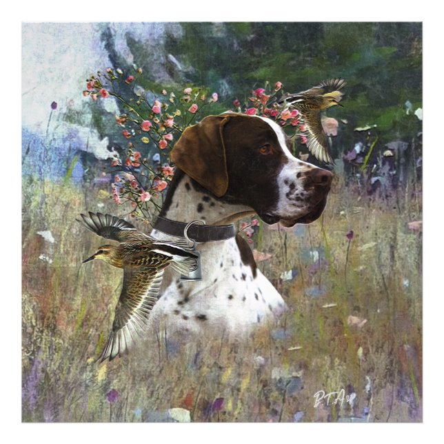 Foto El hermoso puntero en el campo (Frente)