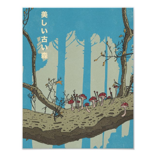 Foto El hermoso y antiguo bosque (Frente)