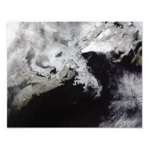 Foto El hielo marino llena el Golfo de San Lorenzo