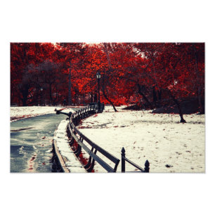 Foto El invierno resuelve la caída en Central Park, NY