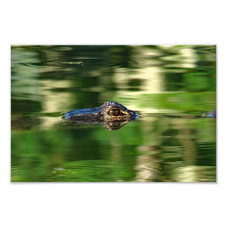 Foto El lagarto bajo el agua
