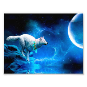 Foto El lobo indio y la luna llena