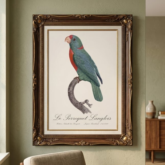 Foto El loro Langlois de Jacques Barraband (Le Perroquet Langlois by Jacques Barraband. Photo Print)