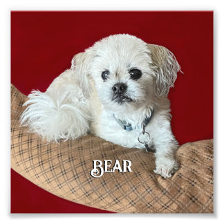 Foto El Malshi Relaxing