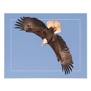 Foto El Mighty Eagle (Con Borde)