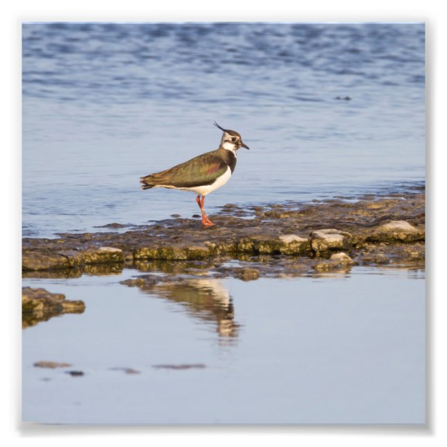 Foto El norte cayendo sobre el mar Báltico (Frente)