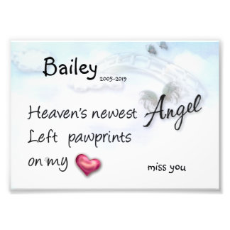 Foto El nuevo ángel dejó huellas de pata en mi huella c