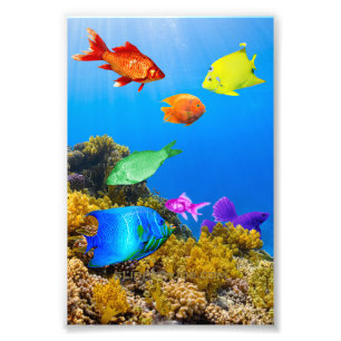 Foto El orgullo de los peces de SlipperyJoe es púrpura
