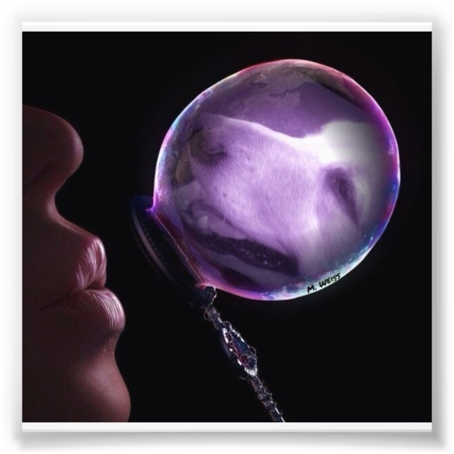 Foto El Oro En Una Burbuja (Frente)