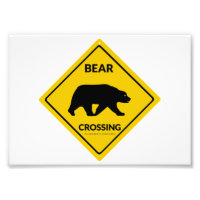 El oso de SlipperyJoe cruzando la silueta del oso