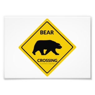 Foto El oso de SlipperyJoe cruzando la silueta del oso 
