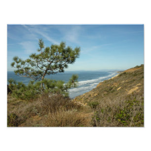 Foto El paisaje costero de Torrey Pine y California